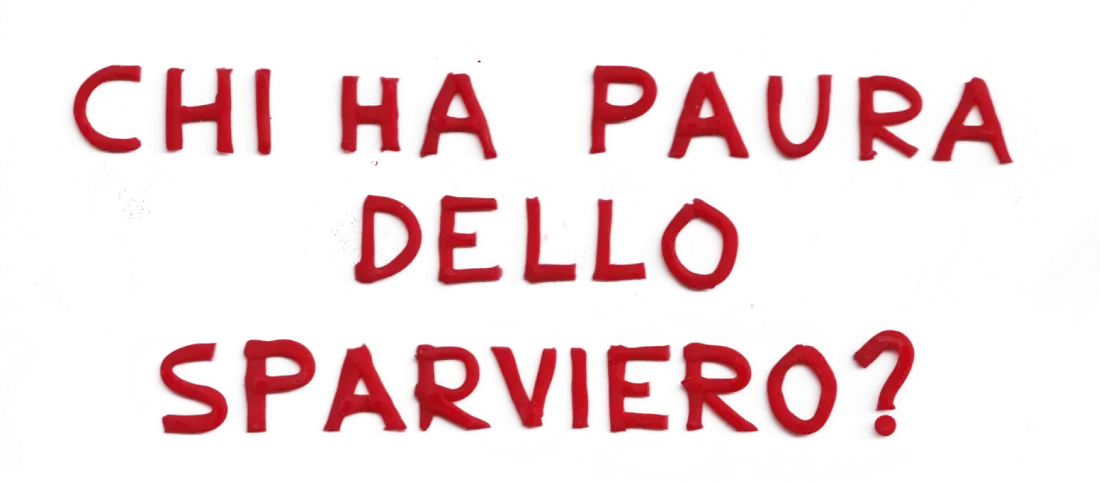 Chi ha paura dello sparviero?